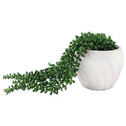13in Trailing Pearls Potted Decor