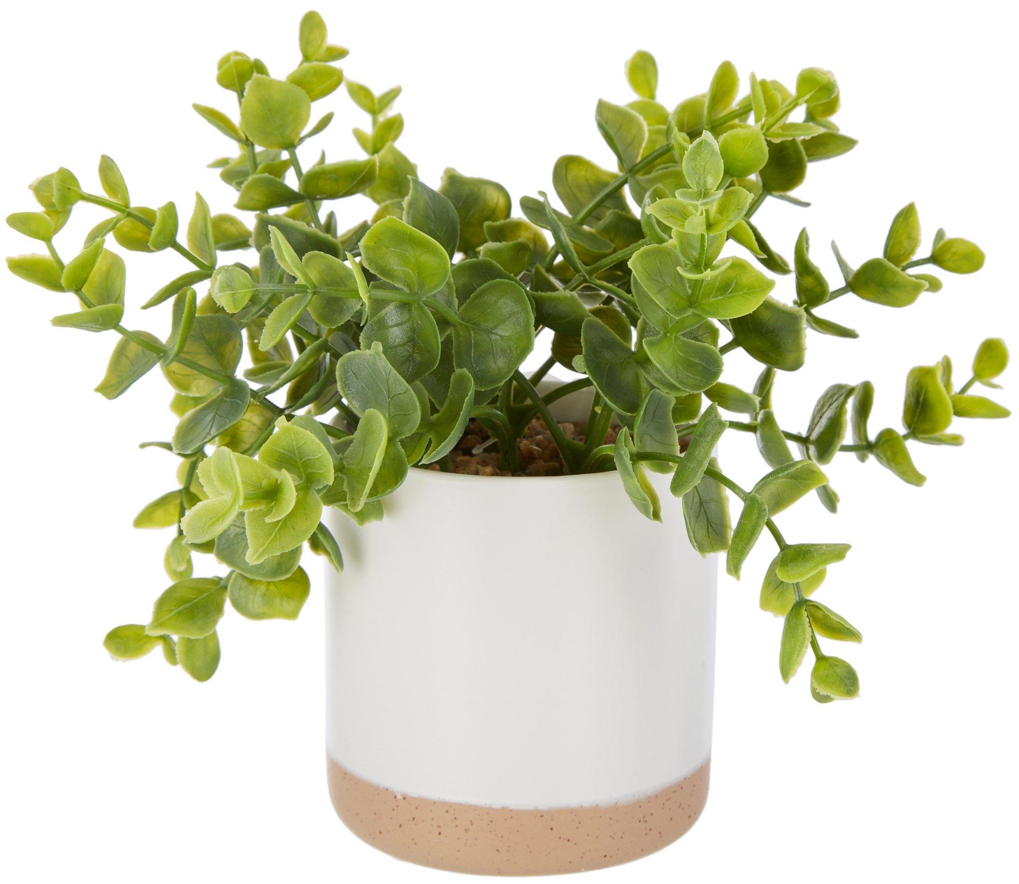 7in Eucalyptus Potted Decor