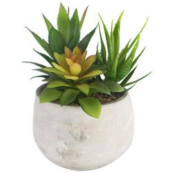 7in Assorted Succulent Potted Decor