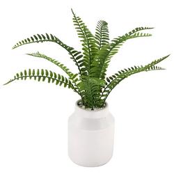 13.5in Fern Potted Decor