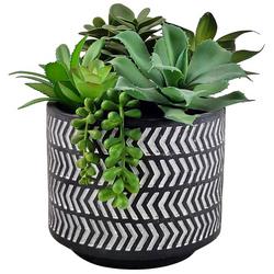 8in Succulent Potted Decor