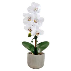 14in Orchid Potted Decor