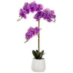Siena Floral 27'' Orchid Potted Plant Decor