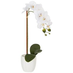 Siena Floral 17.5'' Orchid Potted Decor