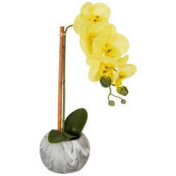 Siena Floral 14'' Orchid Potted Decor