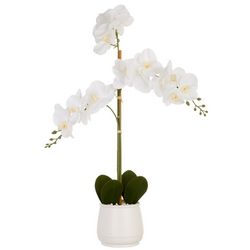 Siena Floral 27'' Orchid Potted Decor