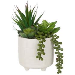 8in Mixed Succulent Potted Decor