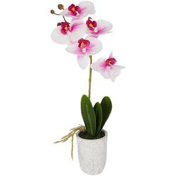 16in Colored Orchid Potted Decor