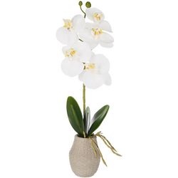 Mikasa 16in Orchid Potted Decor