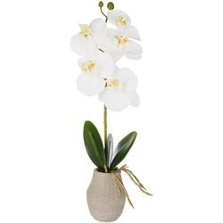 16in Orchid Potted Decor