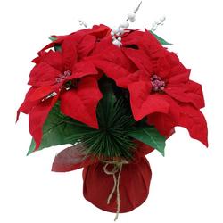 16 in. Red Potted Poinsettia