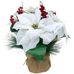 16 in. White Potted Poinsettia