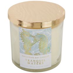 Chesapeake Bay Candle 13.5 oz Tranquil Waters Tumbler Candle