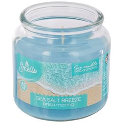 Smells Inc 16 Oz Sea Salt Breeze Wax Candle