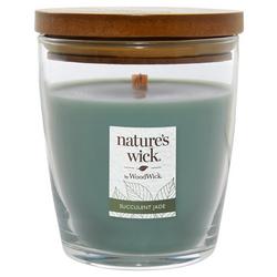 Natures Wick 10oz Succulent Jade Jar Candle