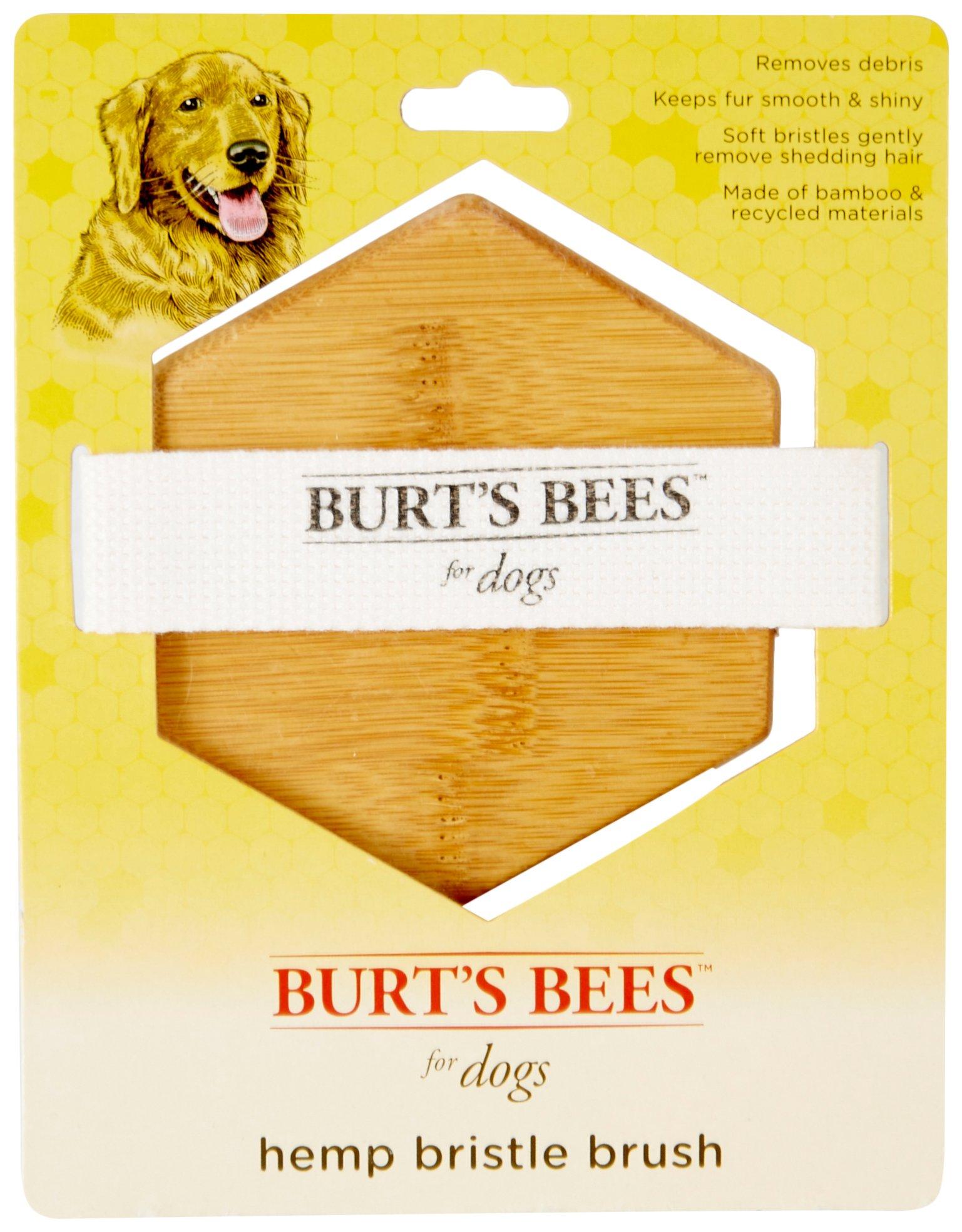 Burt's Bees Hemp Bristle Dog Brush