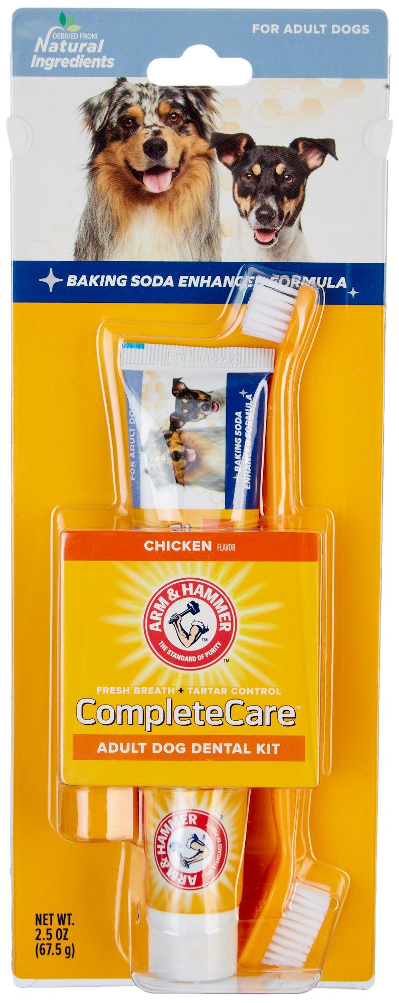 Chicken Flavor Adult Dog Dental Kit