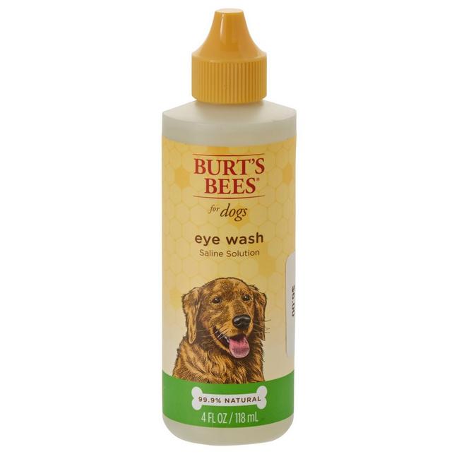 can a dog use saline spray
