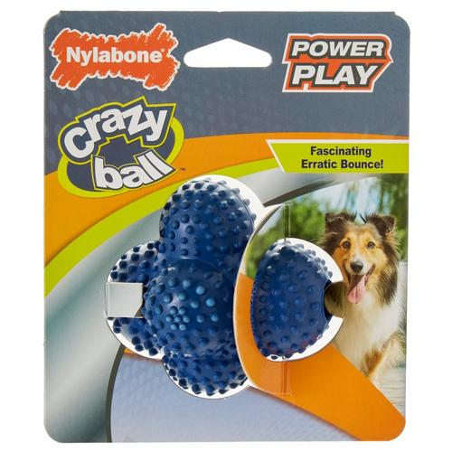 Nylabone Crazy Ball Erratic Bounce Ball Dog Toy