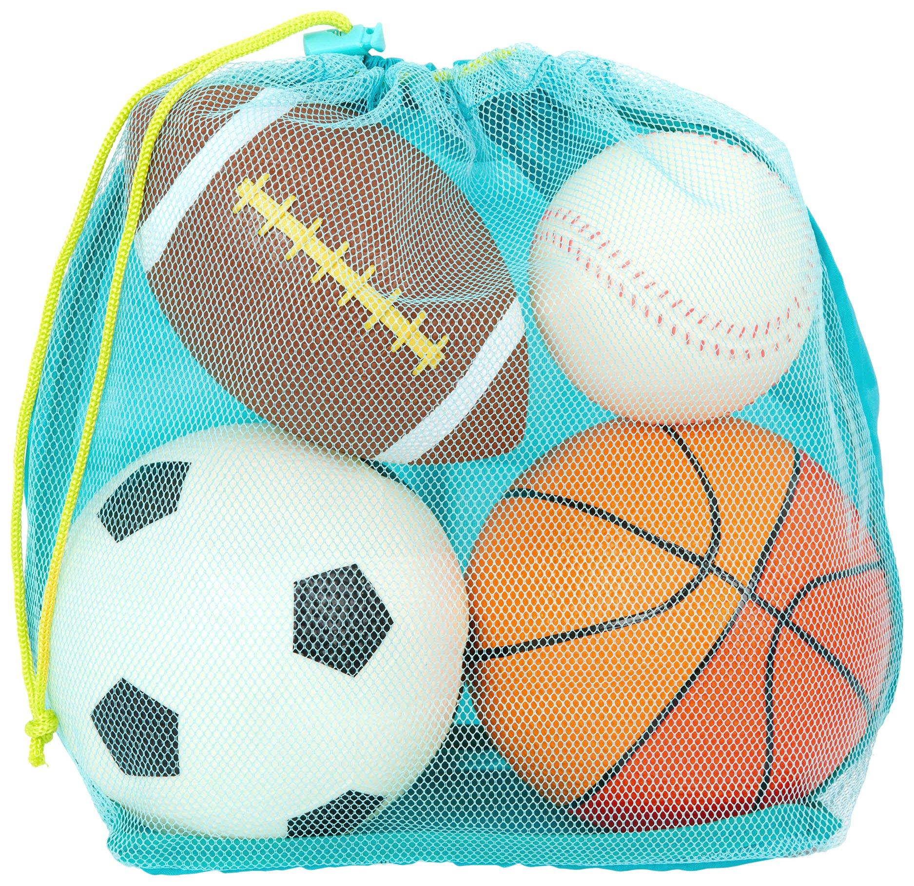 4 Sports Balls and Carry Bag