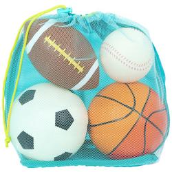 4 Sports Balls and Carry Bag