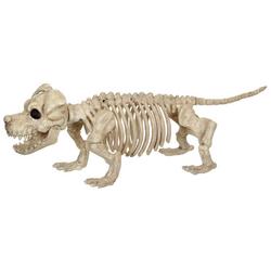 Dog Skeleton Figurine