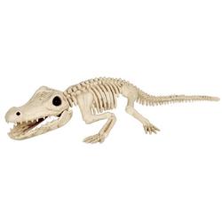 Gator Skeleton Halloween Decor