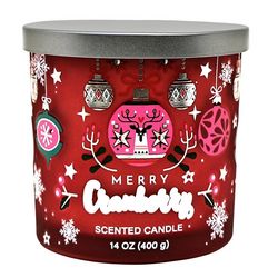 14 oz. Merry Cranberry Scented Jar Candle