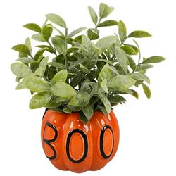 8in Boo Pumpkin Tea Leaf Plant Decor