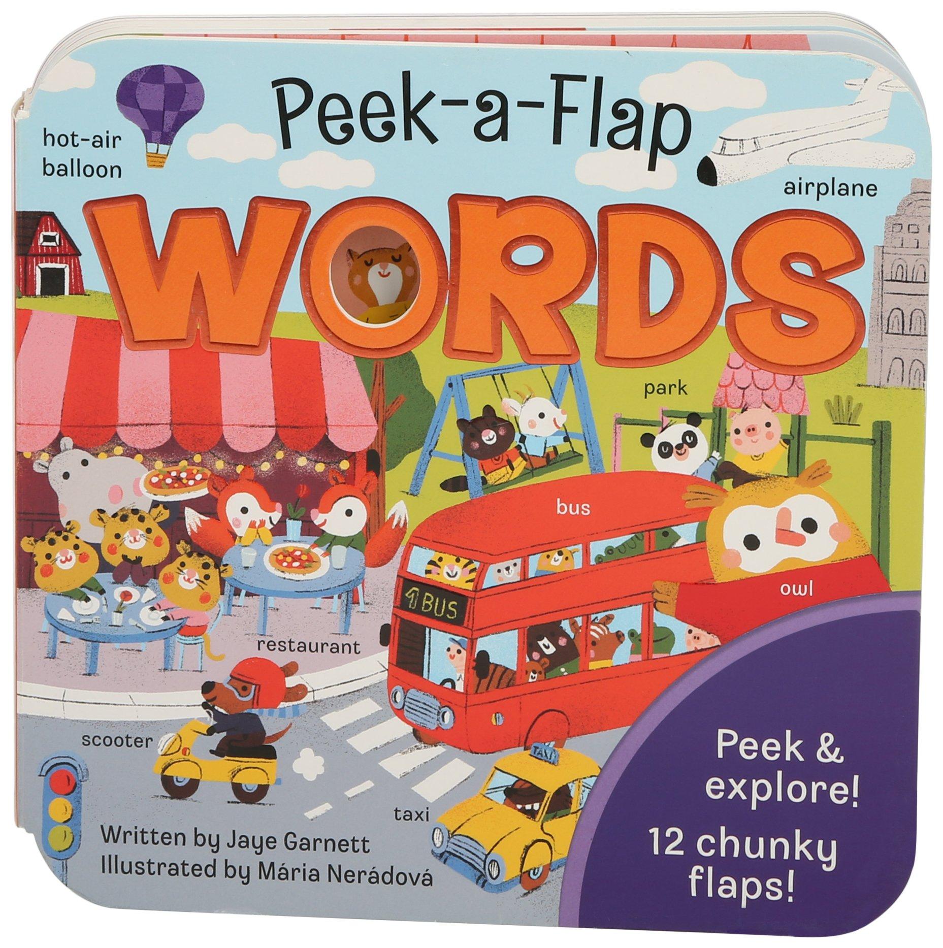 BOOK DEPOT Peek - A -  Flap Words Book
