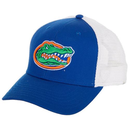Florida Gators Mens Mesh Hat By Top Of