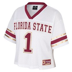 Mens I'm Gliding Her Florida State Mesh Tee by Fanatics