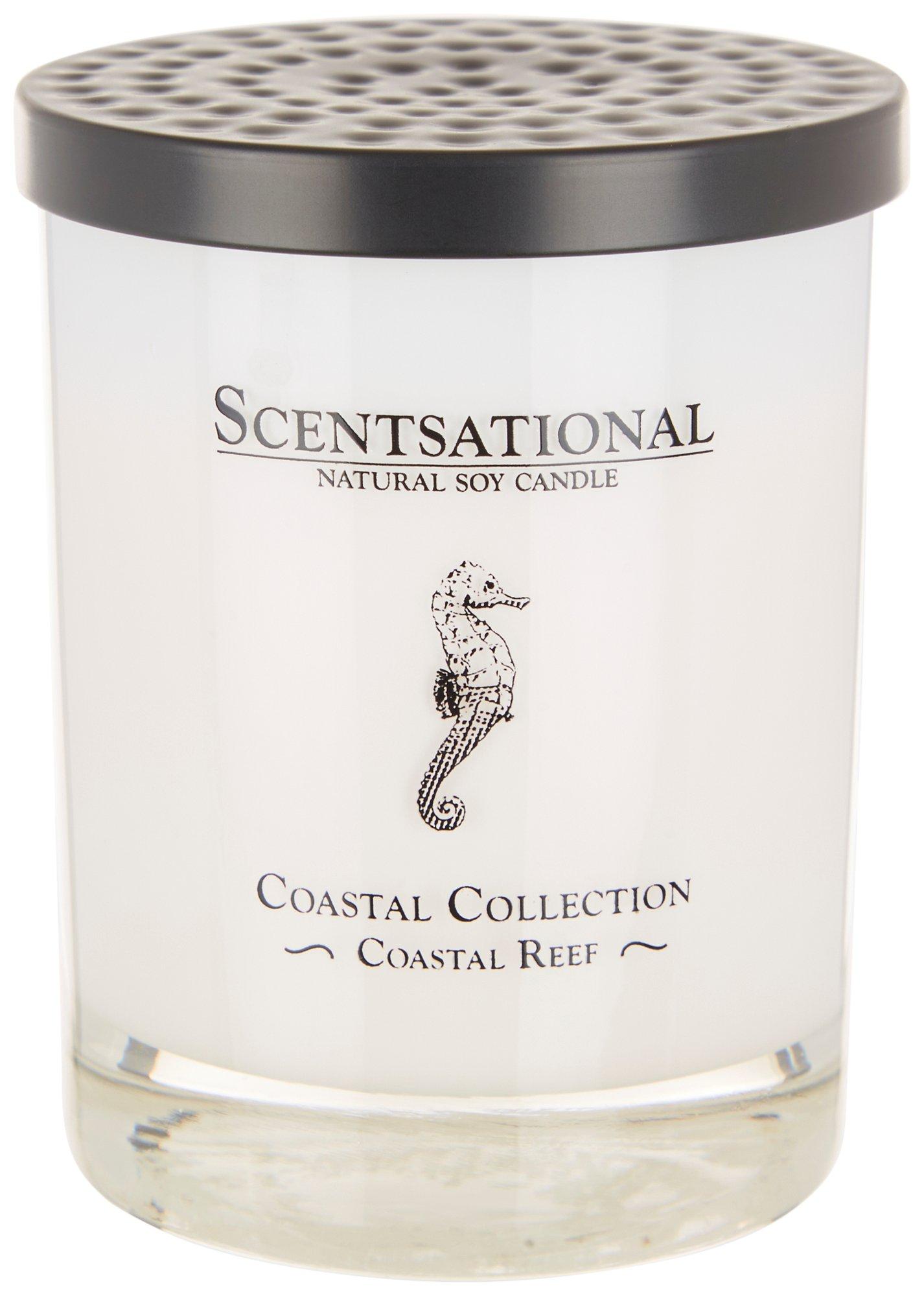 Scentsational 11 oz. Coastal Reef Soy Blend Candle
