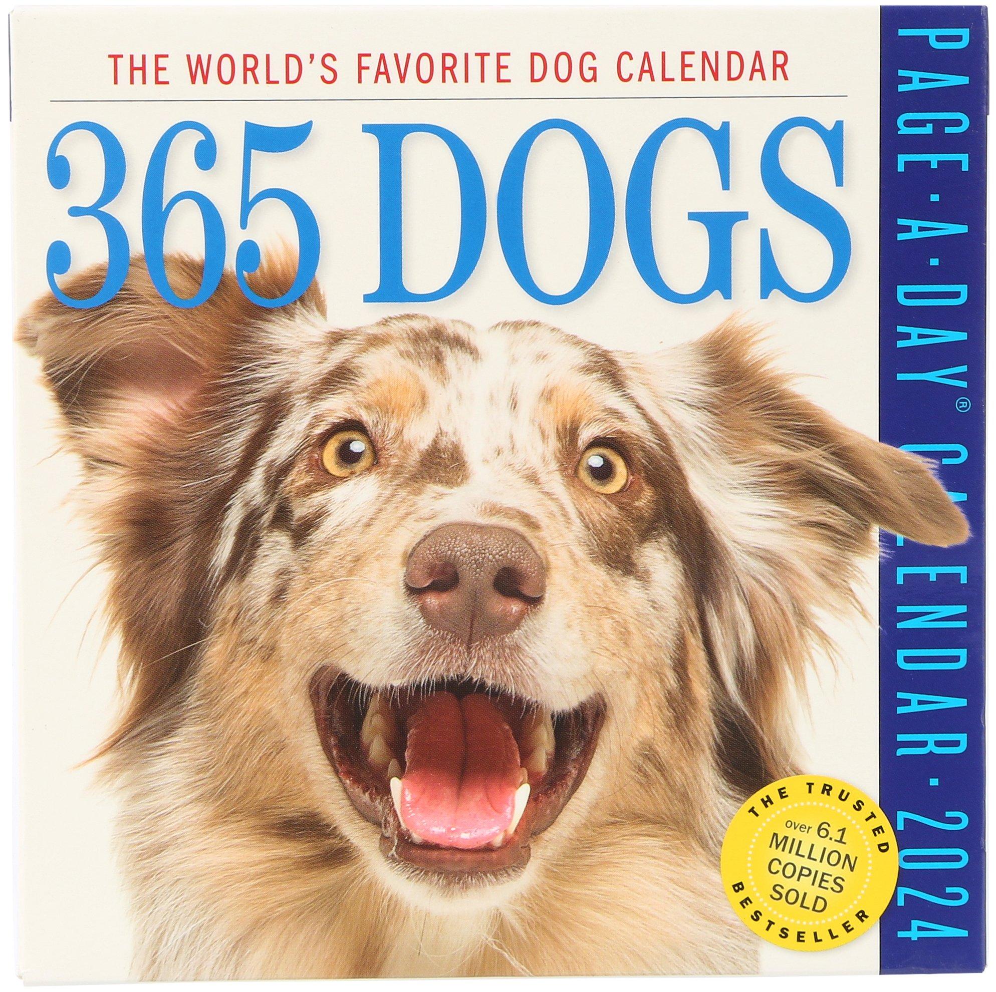 365 Dogs Page-A-Day Calender 2024
