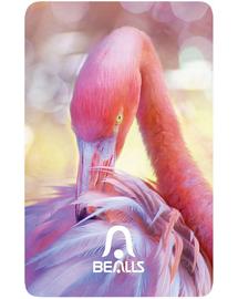 Flamingo Bealls card